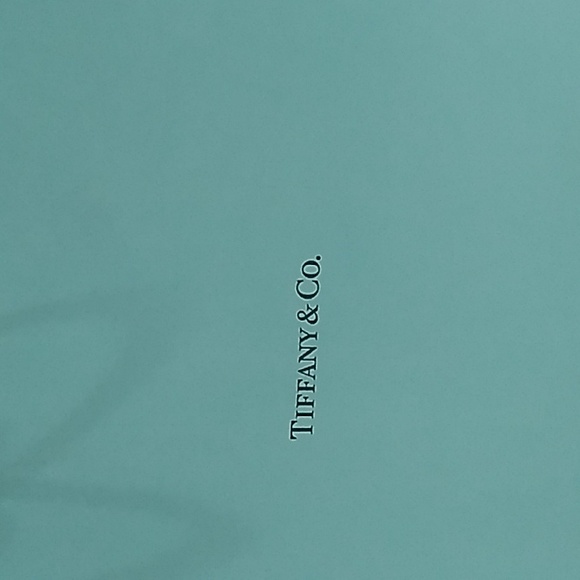 Tiffany's Gift Bag - Picture 2 of 4